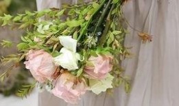 花篮网最新爆料视频下载,最新爆料视频幕后真相大起底