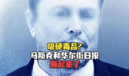 美媒爆料马斯克事件视频,美媒揭秘惊人一幕